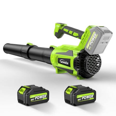 Leaf Blower Cordless, 580CFM Lightweight & Powerful Electric Handheld with 5+1 Speed Modes, Includes 2 Batteries & Fast Charger Kit for Lawn, Patio, Dust, Leaves, Car Drying and Light Snow