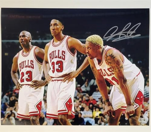 Dennis Rodman signed 16x20 photo autograph Pippen Jordan ~ Beckett BAS Witness - Autographed NBA Photos
