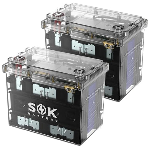 SOK Battery 12V 100Ah LiFePO4 Lithium Battery Marine Battery IP65 Waterproof Transparent Case, Built-in Smart BMS with Bluetooth, 4000-8000 Cycles for RV, Marine, Trolling Motor, Off-Grid (2Pack)