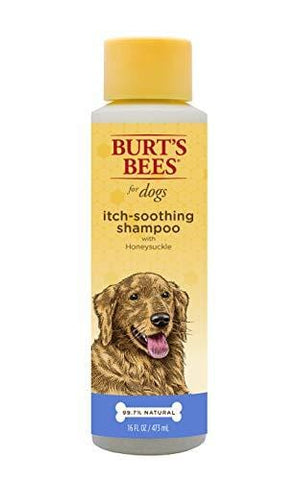 Burt's Bees For Dogs Natural Itch Soothing Shampoo with Honeysuckle | Anti-Itch Dog Shampoo, 16 Ounces