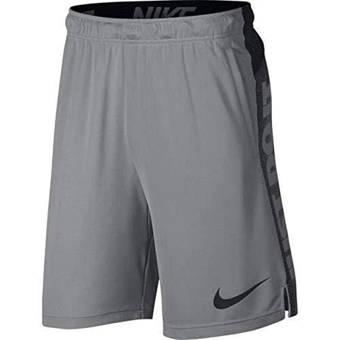 NIKE Mens Dry GFX Training Shorts Atmosphere Grey/Black 891219-027 (X-Large)