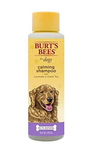 Burt's Bees All Natural Calming Shampoo for Dogs | Soothes, Calms & Revitalizes | Made with Lavender and Green Tea, 16 Ounces