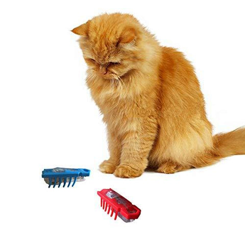 OUZIFISH Nano Robot Bug Cat Toys 2-Pack Electronic Interactive Toy Navigates Around Corner Keeps Indoor Cat Chasing Hunting, Battery Included - Plays Like a Real Bug