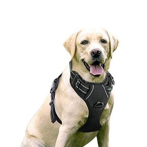 Rabbitgoo Dog Harness No-Pull Pet Harness Adjustable Outdoor Pet Vest 3M Reflective Oxford Material Vest for Dogs Easy Control for Small Medium Large Dogs (Black, L)