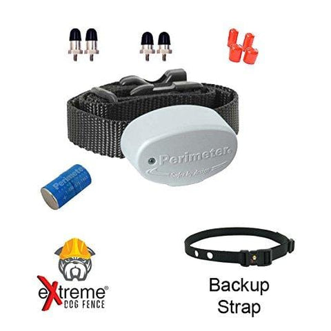 Perimeter Technologies Invisible Fence R21 Replacement Collar 7K - 1 Dog and Free Backup Collar Strap