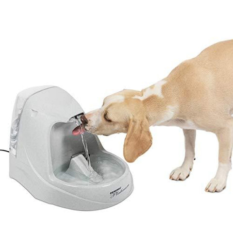 PetSafe Drinkwell Platinum Cat and Dog Water Fountain, Pet Drinking Fountain with Carbon Filter, 168 oz. Water Capacity