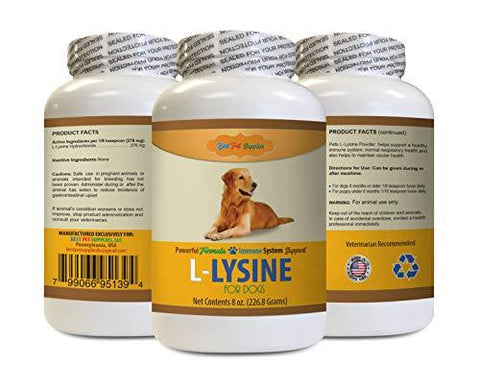 BEST PET SUPPLIES LLC Dog Amino acids - L LYSINE for Dogs Powder - Powerful Immune System Support - Mix with Food - Skin Eye and Bone Health - Oral lysine for Dogs - 1 Bottle (8 OZ)