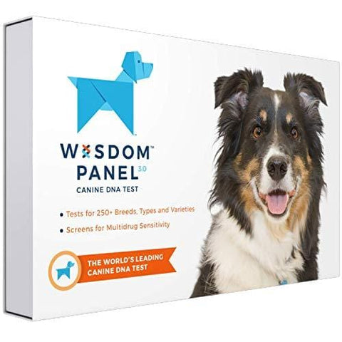 Wisdom Panel 3.0 Breed Identification DNA Test Kit Canine Genetic Ancestry Test Kit for Dogs