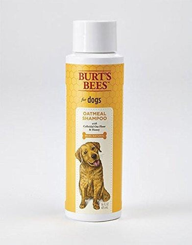 Burt's Bees All Natural Oatmeal Shampoo for Dogs | Made with Colloidal Oat Flour and Honey | Moisturizing Oatmeal Dog Shampoo, 16 Ounces