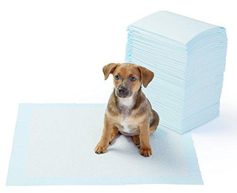 AmazonBasics Pet Training and Puppy Pads, Regular - 100 Count