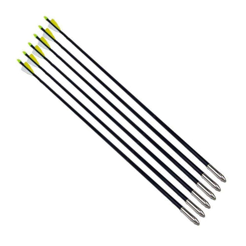 12 Pack 30 Inch Fiberglass Archery Arrows Hunting and Target Practice Arrows for Compound Bow and Recurve Bow