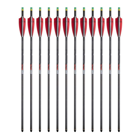 Tenpoint Pro Elite Carbon Crossbow Arrows with Alpha-Nocks, 12 Pack Bundle (HEA-640.6). for use with Any Crossbow. 2 Packs of 6 (12 Items)