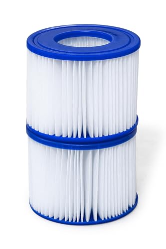 Bestway SaluSpa Filter Cartridge (VI) 2-Pack | Compatible with All SaluSpa Inflatable Hot Tub and Spa Models