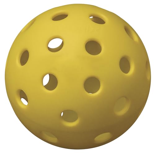 Onix Pickleball Z1 Starter Kit Includes Two Z1 Paddles, Four Fuse Pickleballs in Easy to Carry Case