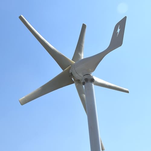 FLTXNY POWER 800W Wind Turbine 5 Blades 12V / 24V / 48V with MPPT Charge Controller for Home Boat Farm (24, Volts)