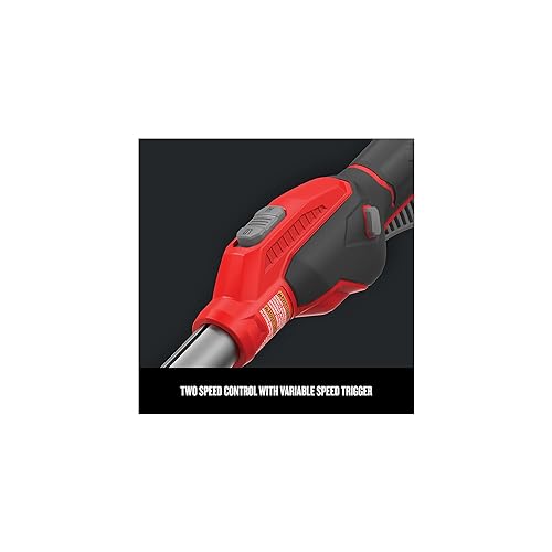 CRAFTSMAN V20 WEEDWACKER Cordless String Trimmer with QUICKWIND, 4 Ah Battery, Charger, and Spool Included (CMCST920M1), Red and Black