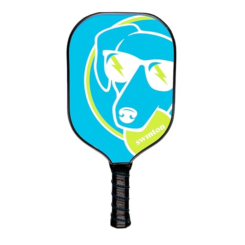 Swinton Pickleball Paddles, USAPA Approved Carbon Fiber Pickleball Paddle for Power, Control & Spin, Advanced Sweet Spot Textured Surface for Precision Shots Comfortable Anti-Slip Grip for Men & Women