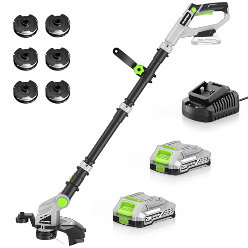 Weed Wacker Cordless 20V 12'' Electric Weed Eater with Auto Line Feed, 2 x 2.0Ah Battery and Fast Charger, 6 x Replacement Line, Battery Powered String Trimmer for Lawn Care, GrassTrimmer (AD-ST-002)