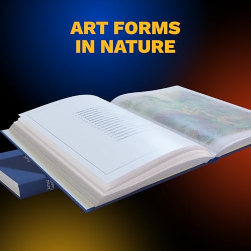 The Curiosity Box Science Gadgets for Teenagers and Adults, STEM Collection with Gyroscope, Astonishing Ruler, Soma Cube, Solar System Decals, Art Forms in Nature Book + Vsauce Vice T-Shirt (3XL)