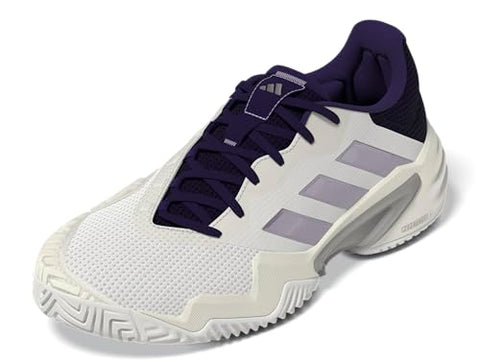 Adidas Women's Barricade 13 Tennis, White/Powder Plum/Aurora Plum, 10