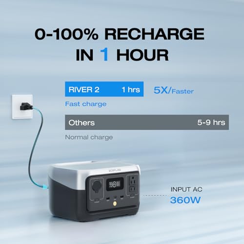EF ECOFLOW Portable Power Station RIVER 2, 256Wh LiFePO4 Battery/ 1 Hour Fast Charging, 2 Up to 600W AC Outlets, Solar Generator (Solar Panel Optional) for Outdoor Camping/RVs/Home Use