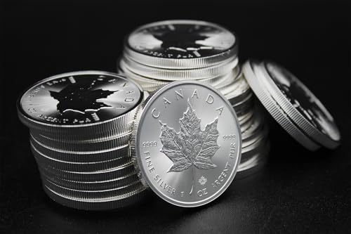 2025 - Lot of (25) 1 oz Canadian Maple Leaf Silver Coins Brilliant Uncirculated with Certificates of Authenticity $5 Seller BU