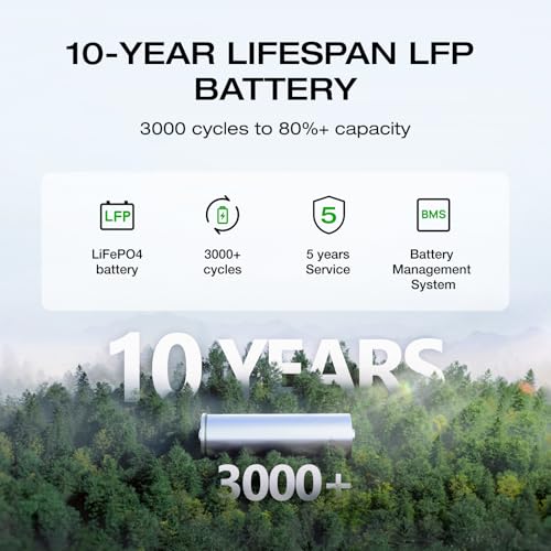 EF ECOFLOW Portable Power Station DELTA 2, 1024Wh LiFePO4 (LFP) Battery, 1800W AC/100W USB-C Output, Solar Generator(Solar Panel Optional) for Home Backup Power, Camping & RVs