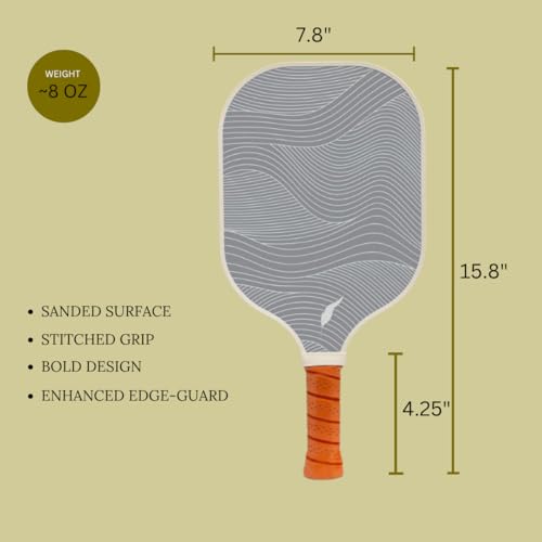 Inscribe Premium Pickleball Paddle – Lightweight Honeycomb Core, Fiberglass Surface, Comfort Grip & Canvas Tote for Fun & Casual Play (Charcoal - 2PK)
