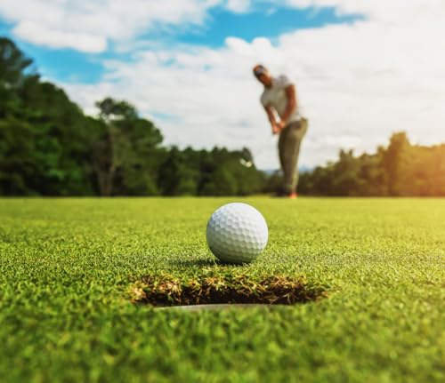 Titleist Pro V1 for Golf