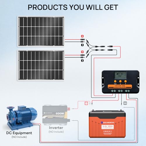 ECO-WORTHY 1.28KWH 200W RV Solar Panel Kit 12v 100ah lifepo4 Battery with Status Display, 2PCS 100W Bifacial Solar Panels,30A Controller with USB for Garden Home DC-Powered Appliances