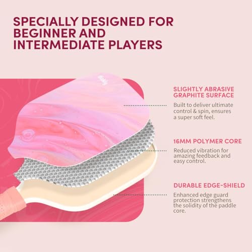 Dinkly Pickleball Paddles Set of 2 - USAPA Approved Graphite/Fiberglass Pickleballs Racket, 2 Paddles, 4 Balls, 1 Protable Carry Bag, Pickle Ball Set for Men Women, Aurora Stream