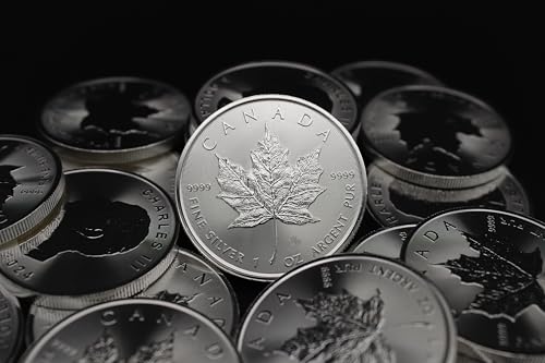 2025 - Lot of (25) 1 oz Canadian Maple Leaf Silver Coins Brilliant Uncirculated with Certificates of Authenticity $5 Seller BU