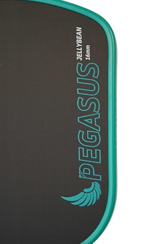 11SIX24 Pickleball Paddles | Jelly Bean Model | Carbon Fiber | Designed for Optimal Control | USAPA Approved (Pegasus)