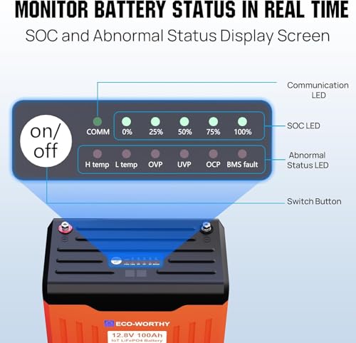 ECO-WORTHY 1.28KWH 200W RV Solar Panel Kit 12v 100ah lifepo4 Battery with Status Display, 2PCS 100W Bifacial Solar Panels,30A Controller with USB for Garden Home DC-Powered Appliances