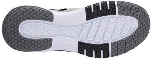 Nike Men's Nike Flex Control TR4 Athletic Shoe, Light Smoke Grey/Blacksmoke Grey-Dark Smoke Greywhite, 12 Regular US