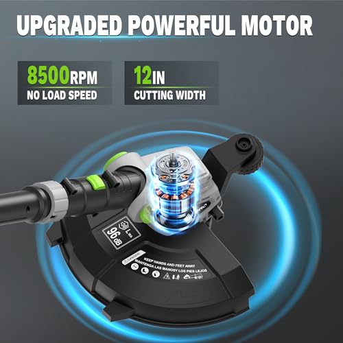 Weed Wacker Cordless 20V 12'' Electric Weed Eater with Auto Line Feed, 2 x 2.0Ah Battery and Fast Charger, 6 x Replacement Line, Battery Powered String Trimmer for Lawn Care, GrassTrimmer (AD-ST-002)