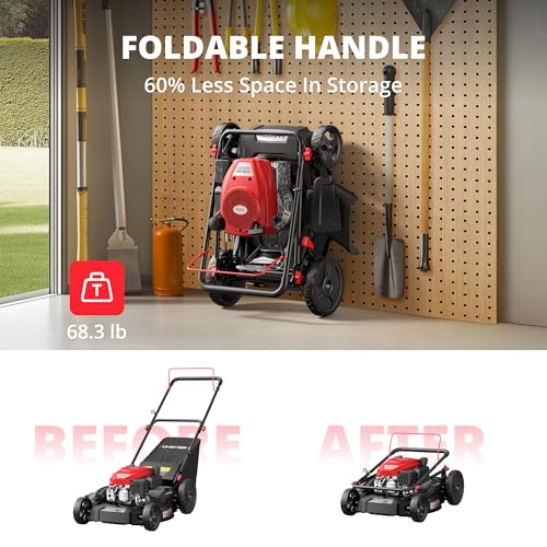 AMERISUN 21" Gas Lawn Mower, 3-in-1 Gas Powered Push Mower, 144cc 4-Stroke OHV Engine, 6 Height Adjustment, Efficient Steel Deck, 1.4 Bushel Grass Catcher with Bagging, Mulching & Side Discharge