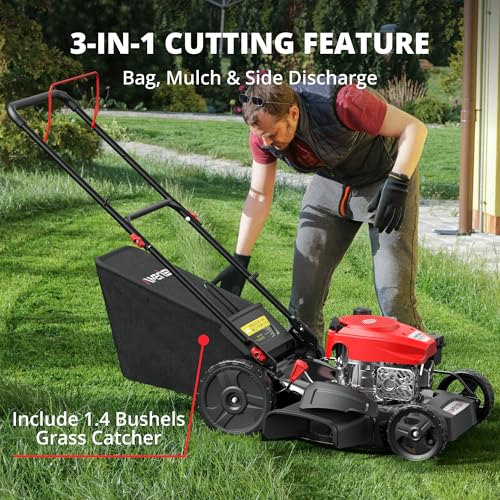 AMERISUN 21" Gas Lawn Mower, 3-in-1 Gas Powered Push Mower, 144cc 4-Stroke OHV Engine, 6 Height Adjustment, Efficient Steel Deck, 1.4 Bushel Grass Catcher with Bagging, Mulching & Side Discharge