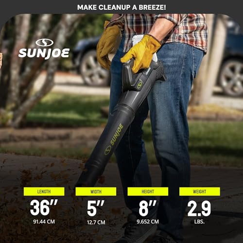 Sun Joe 24-Volt Cordless Compact Turbine Leaf Blower, 100 MPH Air Speed, 280 CFM Airflow