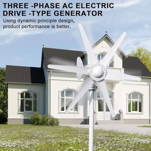 800W Wind Turbine Generator,12V/24V Wind Turbine Kit,6 Blade Professiona Wind Power Generator with Controller, Electromagnetic Power Wind Energy System for Home, Farm, RVs, Boats