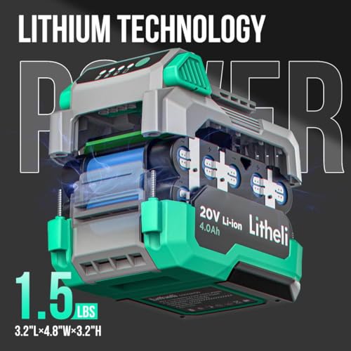 Litheli Cordless Snow Shovel, 20V 12-Inch Battery Powered Snow Thrower, Battery Snow Blower with Auxiliary Handle, with 4.0Ah Li-ion Battery & Charger