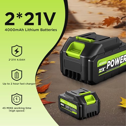 Leaf Blower Cordless, 580CFM Lightweight & Powerful Electric Handheld with 5+1 Speed Modes, Includes 2 Batteries & Fast Charger Kit for Lawn, Patio, Dust, Leaves, Car Drying and Light Snow