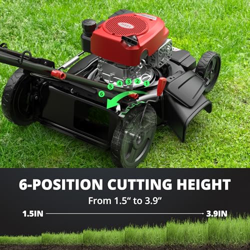 AMERISUN 21" Gas Lawn Mower, 144cc Engine, 2-in-1 Mulching & Side Discharge, 6-Position Height Adjustment, Foldable Handles for Lawn, Yard, and Garden Maintenance
