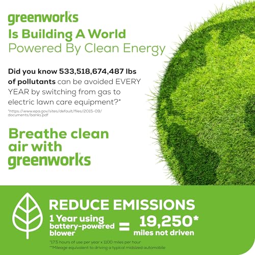 Greenworks 80V (750 CFM / 180 MPH) Brushless Backpack Leaf Blower, Variable Speed for Large Properties, Dislodge Gravel from driveways or Packed Snow from walkways, Includes 4.0Ah Battery and Charger