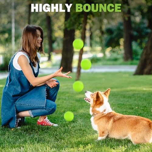 FURWEY 24 Pack Tennis Balls,Thickened Tennis with Mesh Bag for Transport,High Elasticity Training Balls for Beginner, Playing Balls for Dogs