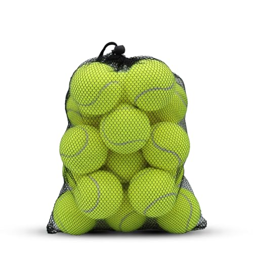 SHYUJAJIE Tennis Balls, 20 Pack Training Tennis Balls,High Elasticity Practice Tennis for Beginner, Exercise Playing Balls for Pet Dog (Yellow)