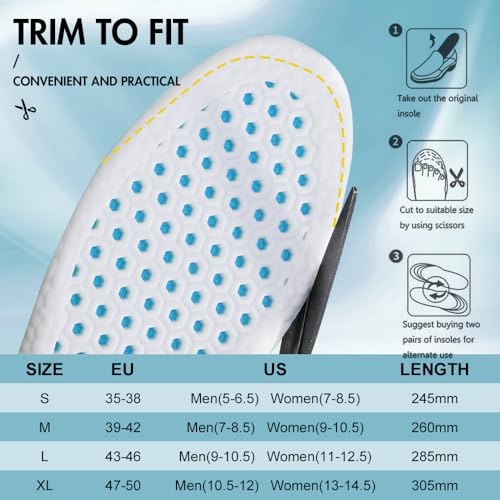 XINIFOOT 3 Pairs Breathable Shock Absorption Sport Shoe Insoles for Men&Women Elastic Soft Running Shoes Pad Replacement Insole (L Men 9-10.5 / Women 11-12.5)