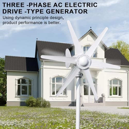 800W 12V/24V Wind Turbines Generator, 6-Blade Fan Wind Turbines Generator Kit, Electromagnetic Electricity Producer Equipment