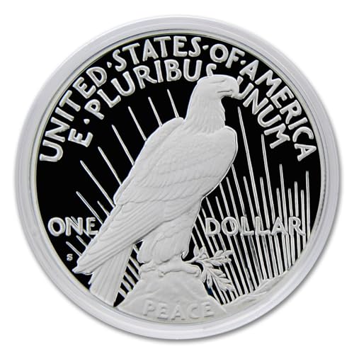 2023 American Silver Peace Proof Dollar Coin with Official Government Packaging and Certificate of Authenticity $1 PR