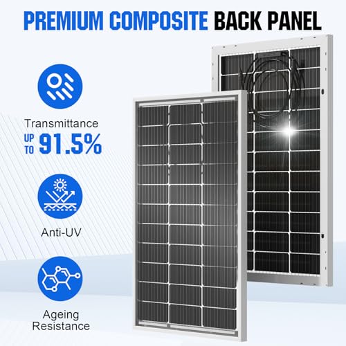 ECO-WORTHY 1.28KWH 200W RV Solar Panel Kit 12v 100ah lifepo4 Battery with Status Display, 2PCS 100W Bifacial Solar Panels,30A Controller with USB for Garden Home DC-Powered Appliances
